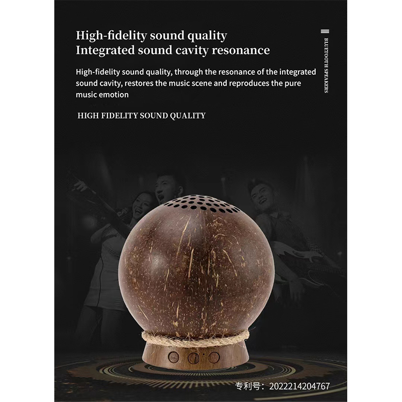 Coconut Shell Speaker