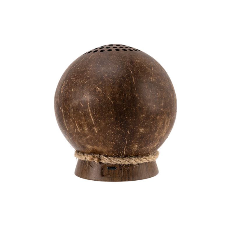 Coconut Shell Speaker