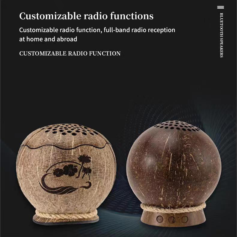 Coconut Shell Speaker